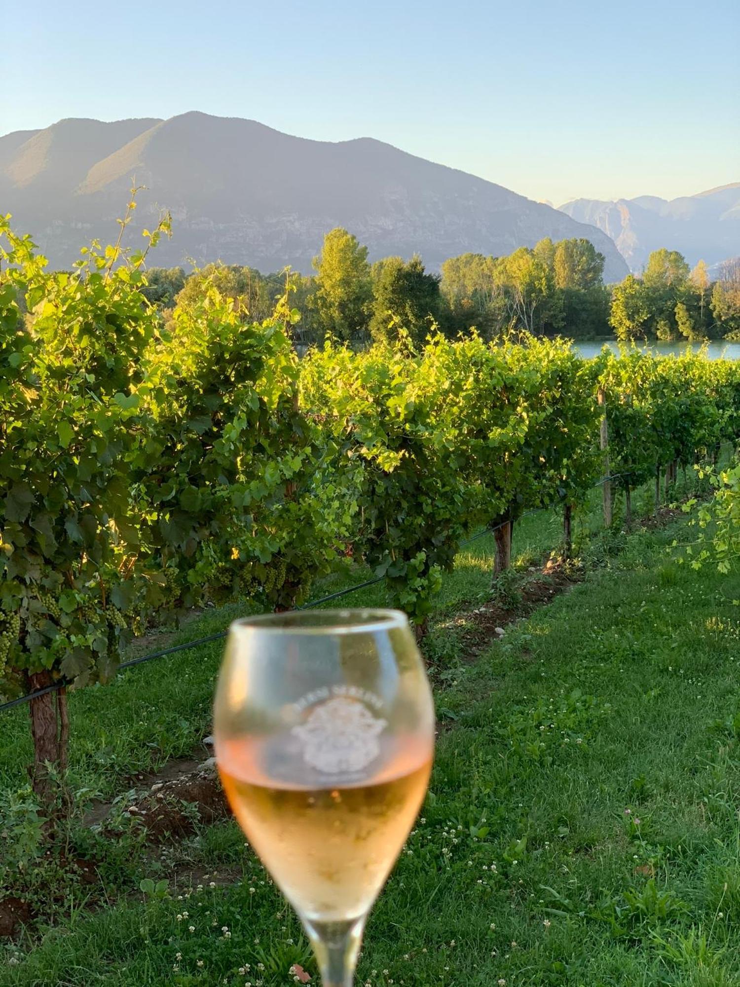 La Casa Di Saten - Appartamento In Franciacorta Erbusco Eksteriør billede